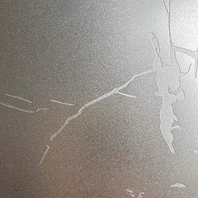 1.0MM Worm Bark Pattern Stainless Steel Sheets Plates Durable SS Embossed linen finish Coil For Elevator