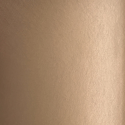 Thickness 1mm 304 Stainless Steel Curtain Walls Hotels And Casinos , Shopping Centres , Railway Stations