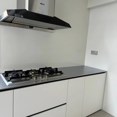 Custom Stainless Steel Countertop Washbasin Anti-Scratch Kitchen Stainless Steel Plate